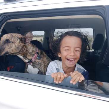 Un enfant joyeux et un chien bringé passent la tête par la fenêtre d'une voiture, souriant et riant tandis que le vent souffle dans leurs cheveux. Le bonheur à l'état pur.