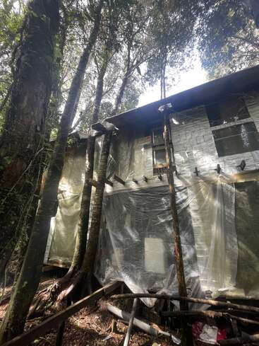 Ein Haus, das gerade gebaut oder renoviert wird, steht in einem Wald, umgeben von hohen Bäumen. Plastikplanen bedecken das unfertige Gebäude und schützen es vor den Elementen.