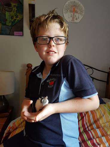 A imagem mostra um menino de óculos, sentado em uma cama, segurando um pequeno hamster branco nas mãos, vestindo uma camisa polo azul e preta.