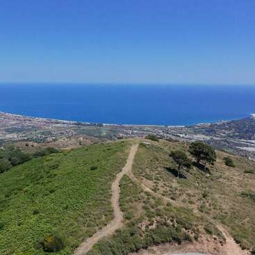 Ein gewundener Feldweg führt einen grünen Hang hinauf, von wo aus man unter einem klaren, strahlenden Himmel auf eine Küstenstadt und das weite blaue Meer blickt. In der Nähe stehen zwei Bäume.
