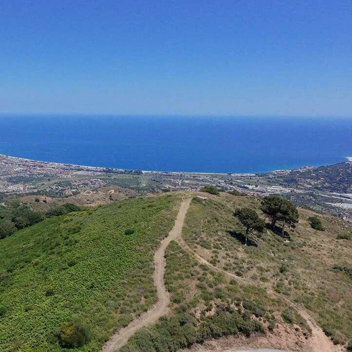 Ein gewundener Feldweg führt einen grünen Hang hinauf, von wo aus man unter einem klaren, strahlenden Himmel auf eine Küstenstadt und das weite blaue Meer blickt. In der Nähe stehen zwei Bäume.