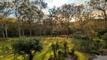 A lush green garden bordered by tall trees under a bright sky. Sunlight filters through the forest canopy, creating a peaceful, serene natural landscape scene.