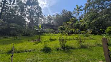 A lush green garden with various plants and trees, gently sloping upwards toward a modern house nestled among tall trees under a bright blue sky.