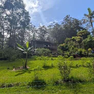 A lush green garden with various plants and trees, gently sloping upwards toward a modern house nestled among tall trees under a bright blue sky.