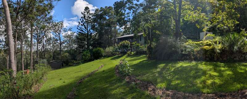Una acogedora casa se asienta sobre un exuberante patio inclinado rodeado de densos árboles verdes, plantas vibrantes y la brillante luz del sol filtrándose entre el follaje.