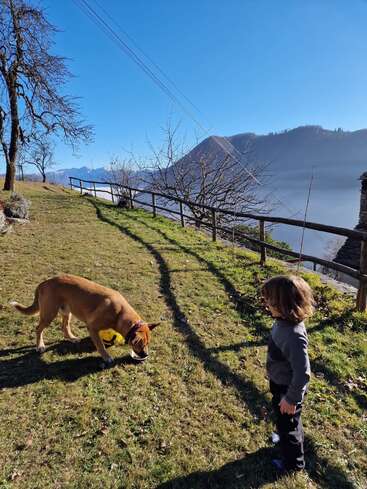 Ein Kind steht auf einem grasbewachsenen Hügel und beobachtet einen braunen Hund, der den Boden beschnüffelt. Laublose Bäume, ein Holzzaun und ferne Berge vervollständigen die friedliche Szene.