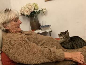 Eine ältere Frau entspannt sich auf einer Couch und trägt einen kuscheligen Pullover. Eine getigerte Katze sitzt auf ihrem Schoß und schaut sie liebevoll an. Blumen schmücken den Hintergrund.