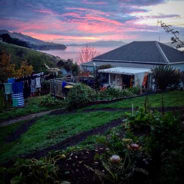 House Pet Sit Just Outside Dunedin New Zealand