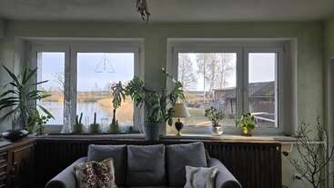 Ein gemütliches Wohnzimmer mit einem grauen Sofa, mehreren grünen Pflanzen auf der Fensterbank und großen Fenstern, die einen ruhigen Blick auf die Bäume und das Wasser draußen bieten.