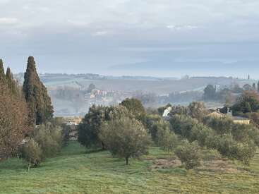 Esta imagen muestra un tranquilo paisaje rural con colinas onduladas, olivos, altos cipreses, casas de campo en la lejanía, aire brumoso y un cielo suave y nublado en lo alto.