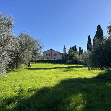 Une magnifique scène champêtre avec de l'herbe verte, des oliviers, une maison et le clocher d'une église sous un ciel bleu limpide, qui inspire la paix et la tranquillité.