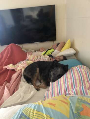 A man, a child, and a dog are lying in bed together. The dog is in the foreground, sleeping on striped pillows under a TV.