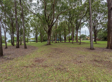 A peaceful park scene with scattered trees, green grass, and patches of brown earth. Houses and power lines are visible in the background, suggesting a suburban setting.