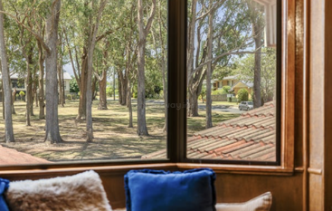 Through a large window, tall trees and a grassy park area are visible. Cushions on a windowsill create a cozy indoor space with natural light.