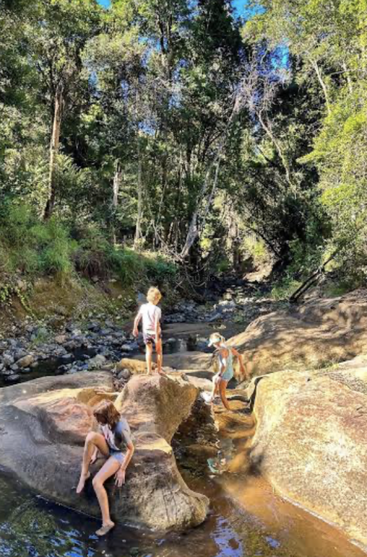Trois enfants explorent un ruisseau rocailleux au cœur d'une forêt luxuriante. Les rayons du soleil filtrent à travers les arbres verdoyants tandis qu'ils jouent, grimpent et s'éclaboussent dans l'eau peu profonde. Une aventure en plein air.