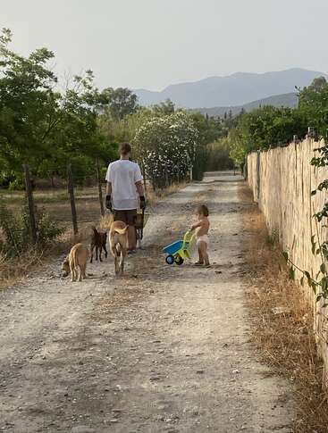 Um homem empurra um carrinho de mão, acompanhado por uma criança com um carrinho de brinquedo e vários cães, caminhando por uma trilha rural de terra em um dia tranquilo.
