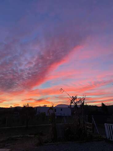 Un ciel de coucher de soleil vibrant avec des nuages roses, orange et violets s'étend au-dessus d'un paysage rural tranquille, d'arbres silhouettés et d'une petite maison blanche. Scène paisible.