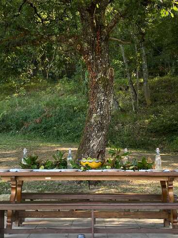 Une table de pique-nique rustique en bois est installée à l'extérieur, à l'ombre d'un grand arbre, décorée de feuilles vertes, de bouteilles d'eau et d'un bol jaune, au cœur de la nature.