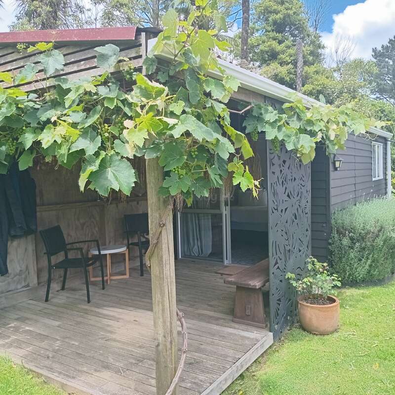 A cozy wooden cabin porch with two chairs and a small table sits beneath a lush grapevine canopy, surrounded by greenery and outdoor tranquility.