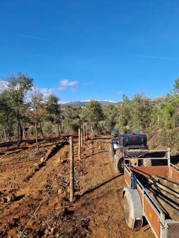 A dirt road lined with wooden fence posts winds through a forest. An ATV with a trailer is parked. The sky is clear and blue.