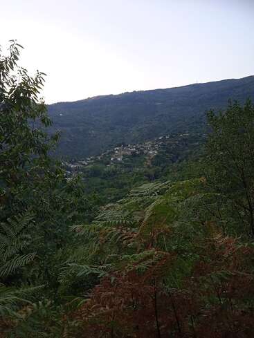 Dichtes grünes Laub füllt den Vordergrund und in der Ferne ist eine Berglandschaft zu sehen. Kleine Häuser stehen verstreut auf den Hügeln unter einem klaren, blassen Himmel.