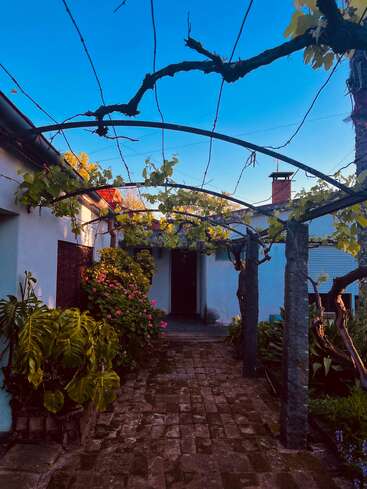 Ein bezaubernder Hof mit einem Steinweg, üppigen Grünpflanzen, blühenden Sträuchern, einem Weinrebengitter über dem Kopf, weißen Wänden und einem klaren blauen Himmel im Hintergrund.