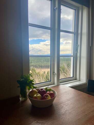 Un cuenco con manzanas y un vaso de menta descansan sobre una mesa de madera junto a una ventana, desde donde se divisa un pintoresco paisaje forestal bajo un cielo parcialmente nublado.