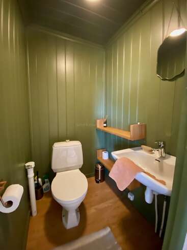 Se trata de un cuarto de baño pequeño con paredes revestidas de paneles verdes, un inodoro blanco, un lavabo suspendido, estantes de madera, un espejo y accesorios minimalistas para el aseo.
