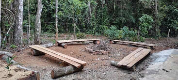 Cuatro bancos rústicos de madera forman un círculo alrededor de una pequeña hoguera de piedra en un claro del bosque, rodeados de árboles y una exuberante vegetación verde. Un entorno tranquilo.