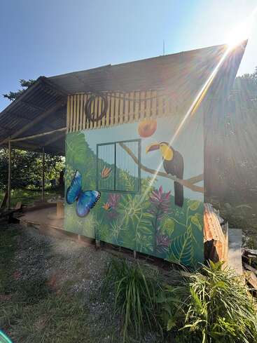 Un petit bâtiment rustique avec un toit en tôle présente une peinture murale vibrante d'un toucan, d'un papillon et de plantes tropicales, brillamment éclairée par la lumière du soleil matinal. La nature nous entoure.
