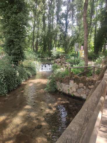 Uma cena serena de floresta com água limpa de riacho, uma pequena cachoeira, árvores verdes exuberantes, grades de madeira, luz do sol filtrada pelas folhas e uma atmosfera pacífica e natural.