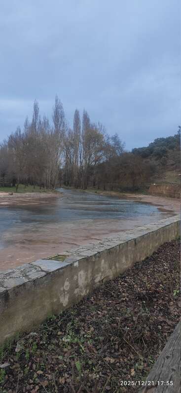 Un ciel nuageux plane au-dessus d'une rivière tranquille bordée de grands arbres sans feuilles. Le mur de pierre au premier plan est bordé de feuilles mortes et d'herbe.