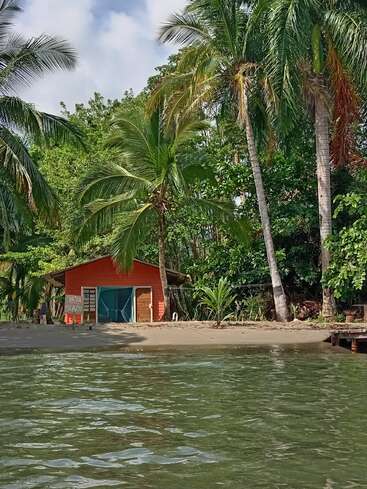 Uma pequena cabana de praia vermelha fica em uma praia arenosa, cercada por palmeiras exuberantes. Água calma e esverdeada em primeiro plano, com uma atmosfera descontraída de ilha tropical.