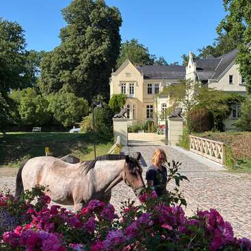 Una mujer pasea a un caballo junto a unas flores de color rosa intenso en un día soleado, con una hermosa mansión amarilla y frondosos árboles verdes al fondo. Una escena tranquila.