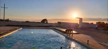 A serene sunset over a swimming pool, with rippling blue water. A dog walks by the edge, construction equipment and trees visible in the background. Peaceful atmosphere.