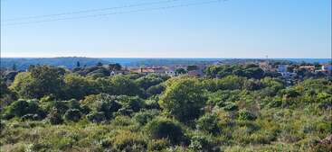 A lush green landscape stretches towards a distant village, with houses nestled among trees. The serene blue sea and clear sky meet on the horizon.