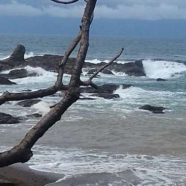 A imagem retrata uma cena serena de praia com um tronco de árvore caído na praia, cercado por rochas e ondas batendo contra elas.