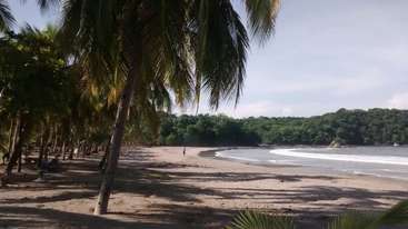 A imagem retrata uma cena de praia serena com um corpo de água tranquilo, com palmeiras e uma costa arenosa, evocando uma sensação de relaxamento e tranquilidade.