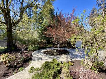Ein sonnendurchfluteter Garten mit einem kreisförmigen Weg, der einen Baum mit rötlichen Blättern umgibt, üppigem Grün, Schatten und blauem Himmel darüber. Im Hintergrund ein umzäunter Hof.