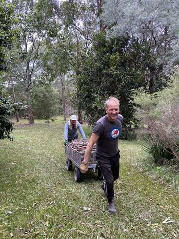 Um homem e uma mulher estão trabalhando juntos ao ar livre, puxando e empurrando um carrinho cheio de gravetos em uma área gramada, arborizada e cercada por árvores verdes exuberantes.