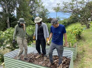 Três pessoas estão em pé dentro de um canteiro de jardim elevado cheio de cobertura vegetal, usando roupas casuais para atividades ao ar livre e chapéus, trabalhando juntas em um jardim verde e exuberante.