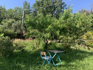 Uma pequena mesa azul e uma cadeira estão sobre a relva verdejante, rodeadas por árvores e flores silvestres, sob um céu azul límpido, num jardim tranquilo.