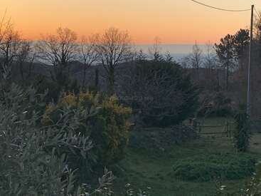 Essa imagem mostra uma paisagem rural tranquila ao pôr do sol, com silhuetas de árvores sem folhas, arbustos, grama verde e um céu suave em tons de laranja e azul.
