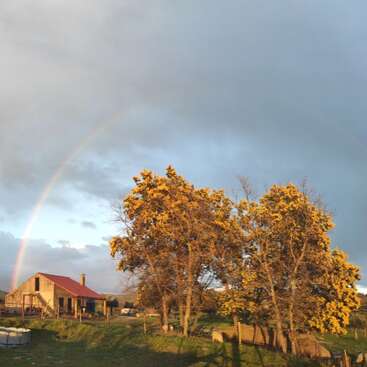 Das Bild zeigt eine lebendige Szene mit einem großen, leuchtenden Regenbogen am Himmel vor einem Hintergrund aus Bäumen und einem Gewässer, der ein Gefühl von natürlicher Schönheit und Wunder hervorruft.