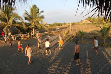 La imagen muestra a un grupo de personas jugando al voleibol en una playa, con una red y pelotas visibles, rodeadas de arena y un cielo despejado, transmitiendo una sensación de diversión y actividad.