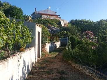 Ein Haus steht auf einem Hügel, umgeben von üppigem Grün, Weinreben, blühenden Sträuchern und Steinmauern, unter einem klaren blauen Himmel an einem sonnigen Tag.
