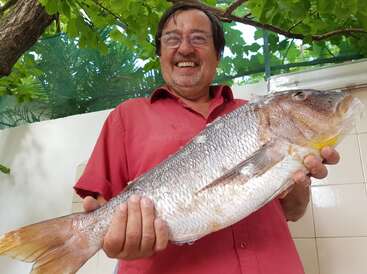 Un hombre sonriente con gafas y camisa roja sostiene con orgullo un gran pez recién pescado. Está al aire libre, bajo frondosos árboles verdes, con aspecto alegre.