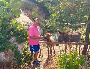 Un hombre con una camisa rosa brillante y pantalones cortos azules sonríe mientras da de comer a dos burros detrás de una valla, rodeado de vegetación, cactus y naturaleza iluminada por el sol.