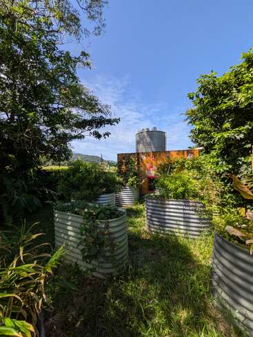 Cette image montre un jardin luxuriant avec plusieurs plates-bandes surélevées en métal remplies de verdure, entourées d'arbres. On y aperçoit un réservoir d'eau et un ciel bleu.