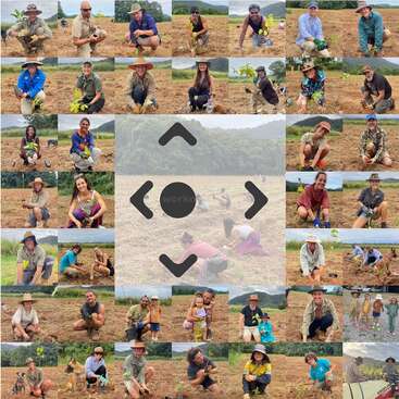 Un montage montrant des personnes en plein air en train de planter des arbres dans un champ, souriantes et prenant plaisir à cette activité. Certaines sont accompagnées d'enfants, d'animaux de compagnie ou d'amis, et soutiennent ainsi les initiatives en faveur de l'environnement.